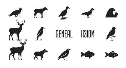 Fototapeta premium Genealogy of animals and wildlife species.