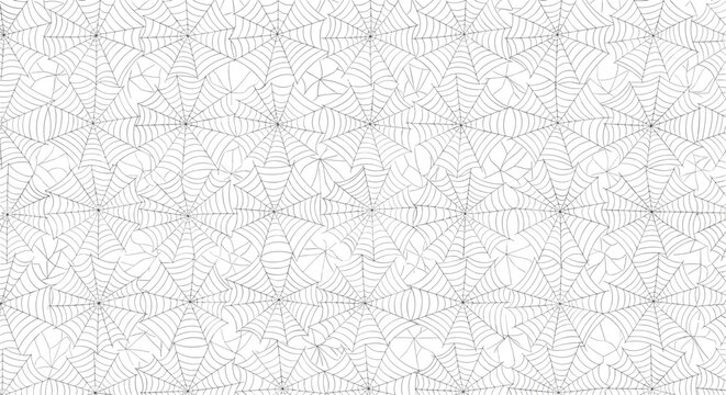 Intricate pattern of connected spider webs creates a delicate and detailed background texture that resembles a fine lace or geometric design.