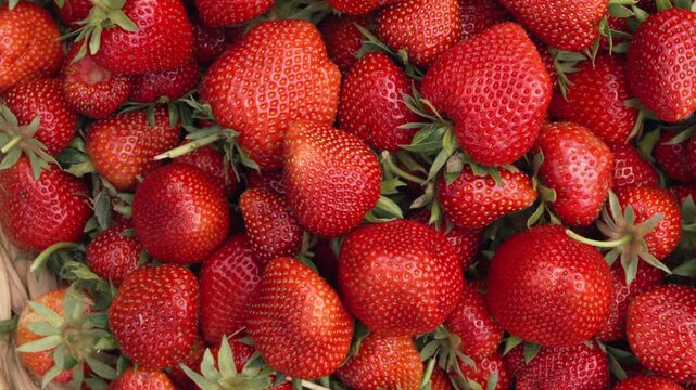 Background of fresh ripe red strawberries close up