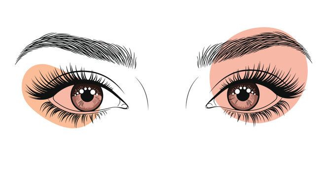 Detailed line art drawing of a woman's eyes with long eyelashes and eyebrows decorated with soft pink eyeshadow circles on white.