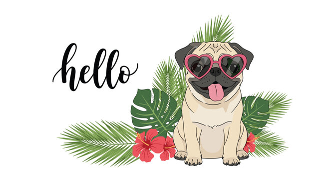 Cute pug dog wearing pink heart shaped sunglasses sitting in front of tropical palm leaves and hibiscus flowers with the word hello.