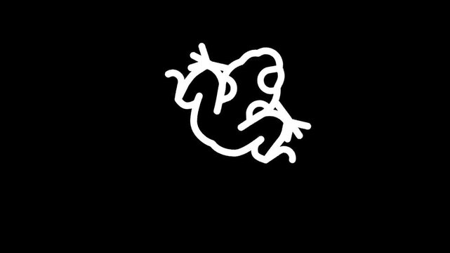 Abstract white line art of a squirrel in motion against a black background