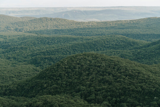 Aerial view of a dense green forest covering rolling hills.