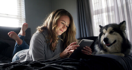 Break, tablet and woman with husky on bed in apartment for browsing, connection or search. App, relax and social media with dog owner person in bedroom of home for download, post or weekend update © peopleimages.com