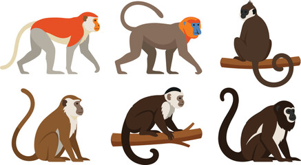 Wild monkey character vector illustration set featuring various primate species including gibbon capuchin macaque and lemur sitting on branches or walking © MeheDi