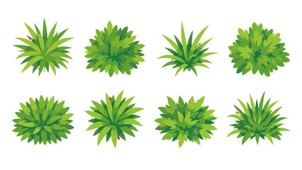 Set of green bush and grass plants in top view vector style © Andrei