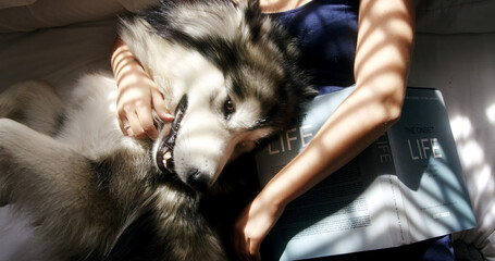 Dog, hands and hugging with woman in home living room for affection, bonding or security. Cuddle, book and sunlight with husky owner in apartment together for companionship or loyalty from above © peopleimages.com
