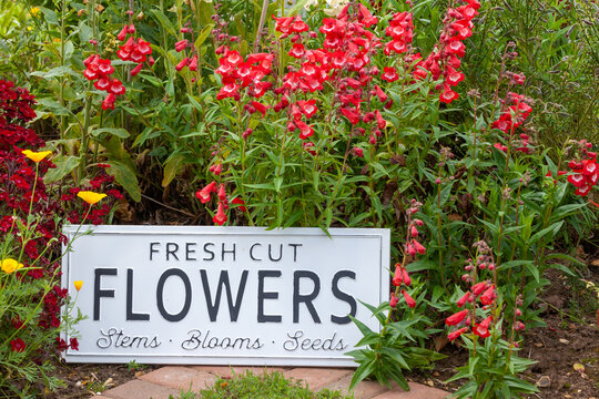 Garden flowers with fresh cut flower sign 0758