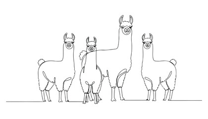 Continuous Simple black line art drawing set of llama in a minimalist style on a white background. © shoshi