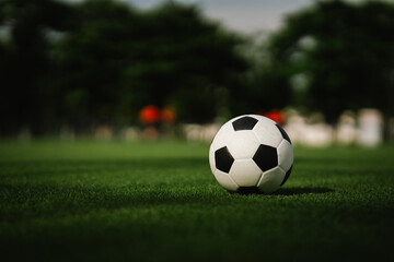 Fototapeta premium A soccer ball rests on a lush green field, symbolizing football competition, teamwork, athletic performance, sportsmanship, and the simplicity of the beautiful game.