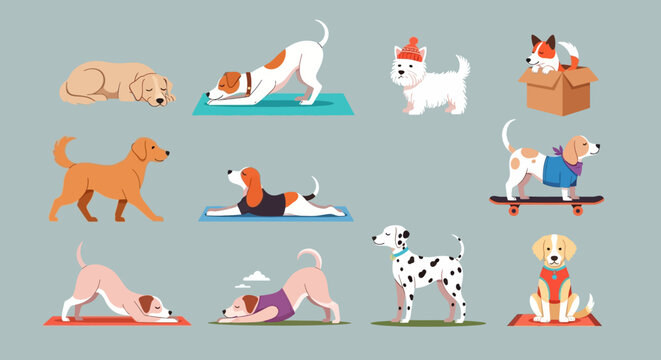 Flat vector dog collection, 11 cute puppy characters in various poses, funny cartoon dogs doing yoga and riding skateboard, pet animal set