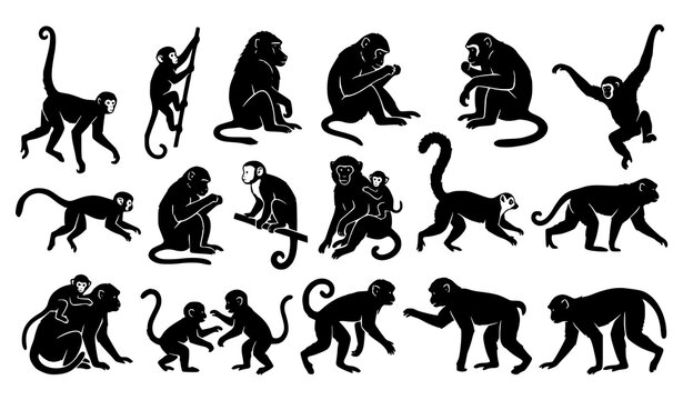 Primate Monkey Silhouette Bundle with Climbing and Sitting Wildlife Vector Graphics