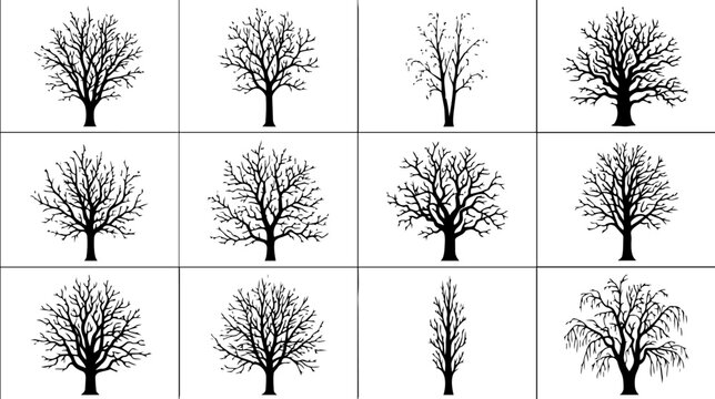 Bare Winter Tree Silhouettes Vector Set - Leafless Deciduous Branches