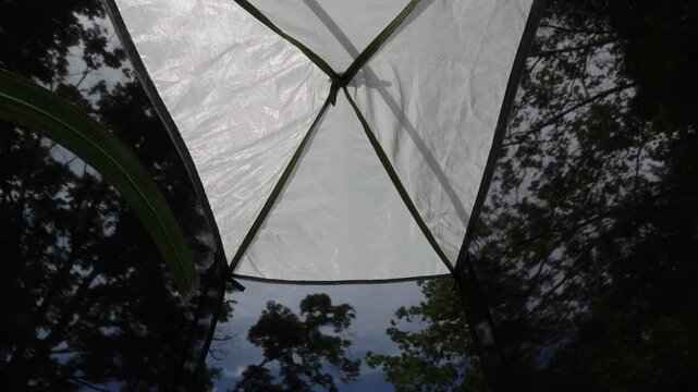 view of nature park trees from inside camping tent overnight adventure camp free standing tent pole net mesh bug protection rain fly removed morning sunrise beauty