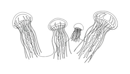 Continuous Simple black line art drawing set of jellyfish in a minimalist style on a white background. © shoshi