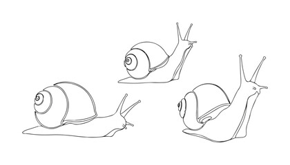 Continuous Simple black line art drawing set of snail in a minimalist style on a white background. © shoshi