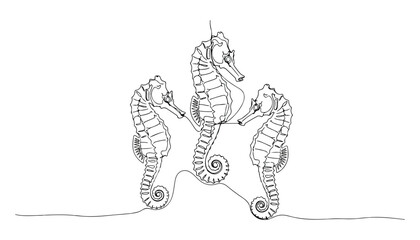 Continuous Simple black line art drawing set of seahorse in a minimalist style on a white background. © shoshi