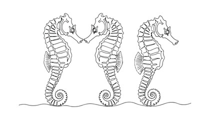 Continuous Simple black line art drawing set of seahorse in a minimalist style on a white background. © shoshi