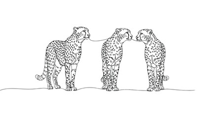 Continuous Simple black line art drawing set of Cheetah in a minimalist style on a white background. © shoshi