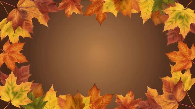 Autumn leaves forming a rustic decorative border frame in this motion animation video clip for projects