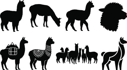 Obraz premium Set of solid black llama and alpaca silhouettes featuring decorative patterns, mountain packs, and herd compositions isolated