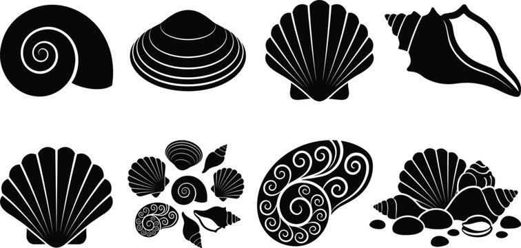 Set of detailed solid black vector seashell silhouettes featuring scallops, conch, and spiral marine shells isolated on white