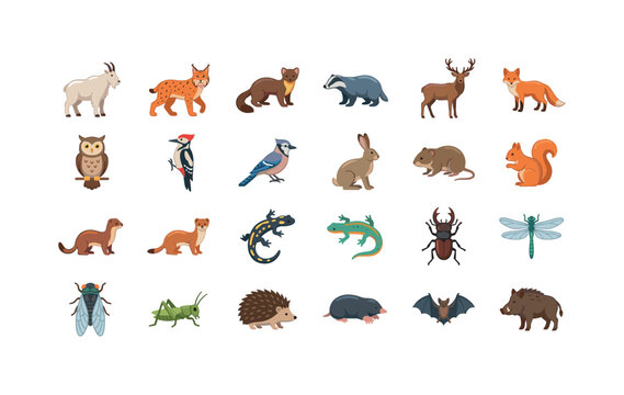 Highland Forest Fauna ? mountain goat, lynx, pine marten, badger, red deer, fox, owl, woodpecker, jay bird, hare, vole, squirrel, weasel, stoat, salamander, newt, stag beetle, dragonfly, cicada,