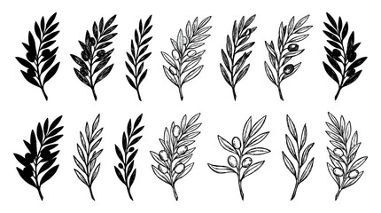 Fototapeta premium Set of black leafy branches and olive twig vector illustrations