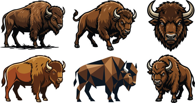 Powerful American Bison Standing in Strong Pose, Clean Vector Wildlife Illustration Isolated on White Background