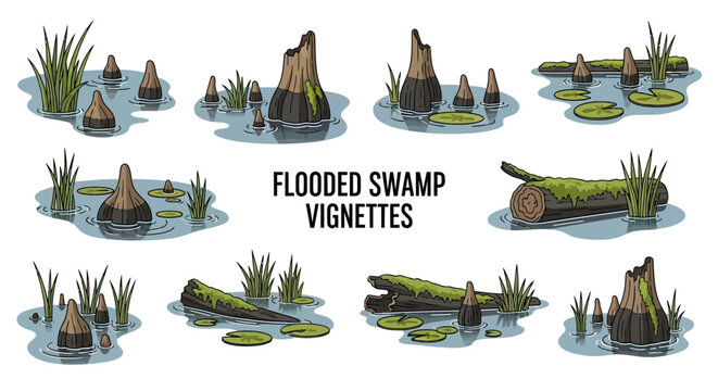 Eleven isolated cartoon vignettes featuring marshy swamp environments with water reeds lily pads mossy logs and cypress stumps