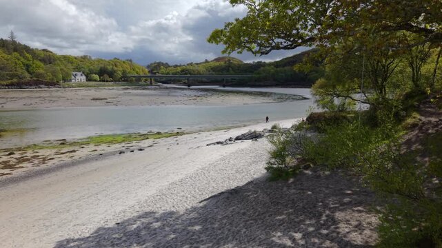 Drone reveal shot rising steadily past overhanging spring trees on Morar Beach, uncovering the wide tidal river channel and Morar Bridge.
