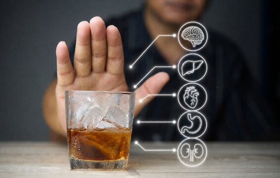 Alcohol can seriously damage vital organs in the body. Excessive drinking harms the liver, heart, brain, and kidneys, increasing the risk of disease, mental decline, and long-term health problems.