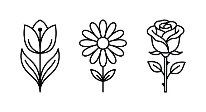 Floral ornament featuring tulip daisy and rose line drawings on a white background