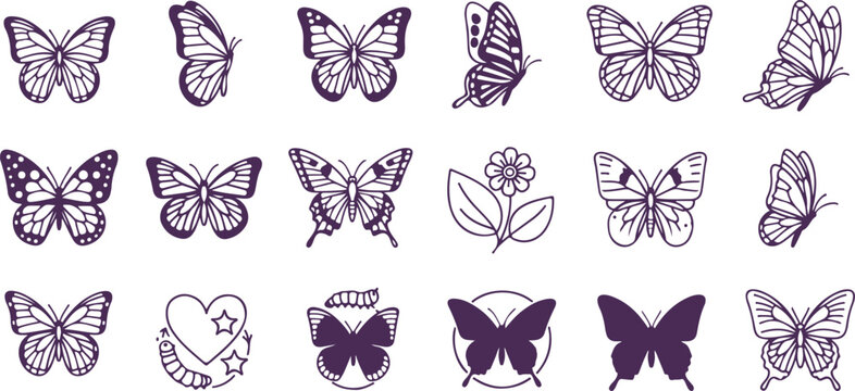 Butterfly collection vibrant winged insects with intricate patterns for nature and beauty designs.