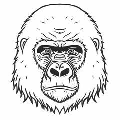Fototapeta premium Gorilla face is presented as a bold black and white line art illustration for graphic use.
