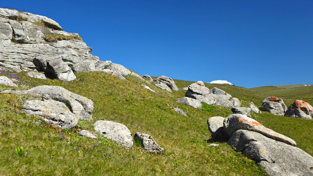 Boulders amidst grassy slopes on the Bucegi Plateau under a blue sky, in the Carpathian Mountains.