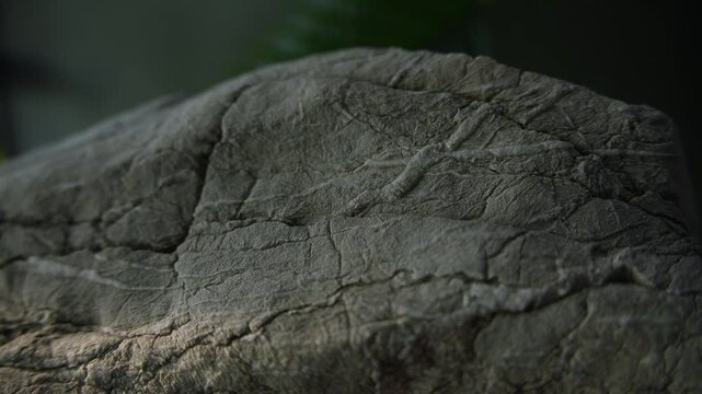 Weathered stone texture with sliding sunlight