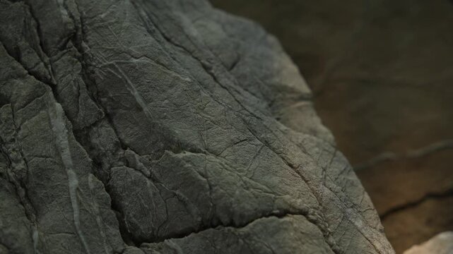 Weathered stone surface with moving sunlight