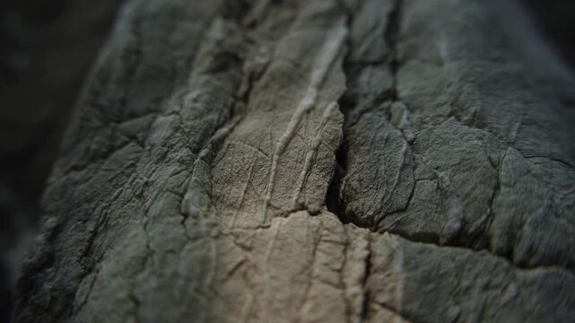 Weathered stone texture with rugged geological relief