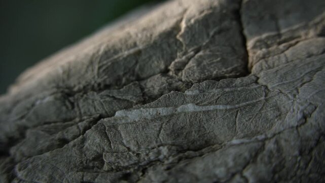 Weathered stone edge in slow macro tracking shot