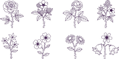 Collection of delicate hand-drawn botanical illustrations featuring roses daisies and berry branches in outline style. © Sadhin