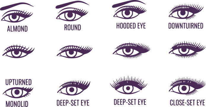 Different eye shapes illustration almond round hooded downturned upturned monolid deep set close set for makeup artists.