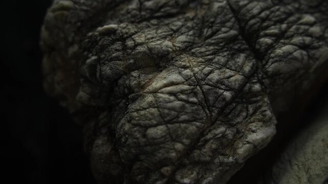 Weathered dark stone texture in macro view