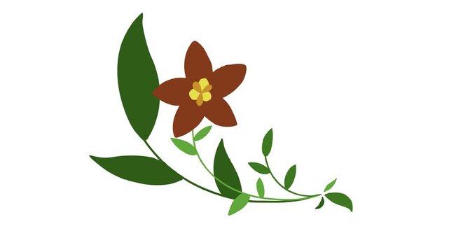 Exotic red flower blooming with green vine corner design animation