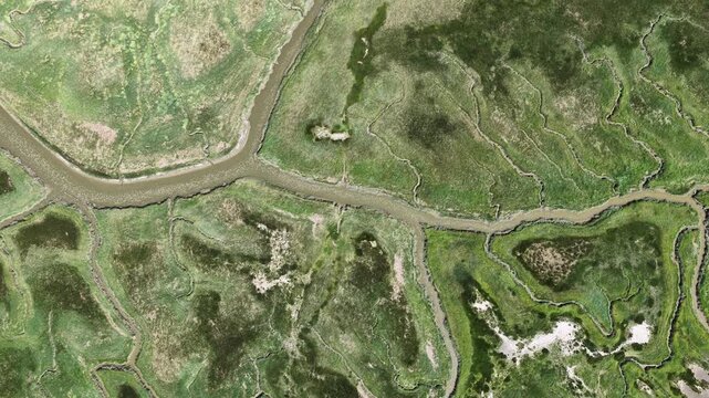 Aerial top down view of river delta and wetlands