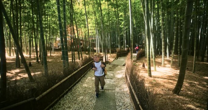 Young boy with backpack walking through bamboo grove in japan - slow motion shot