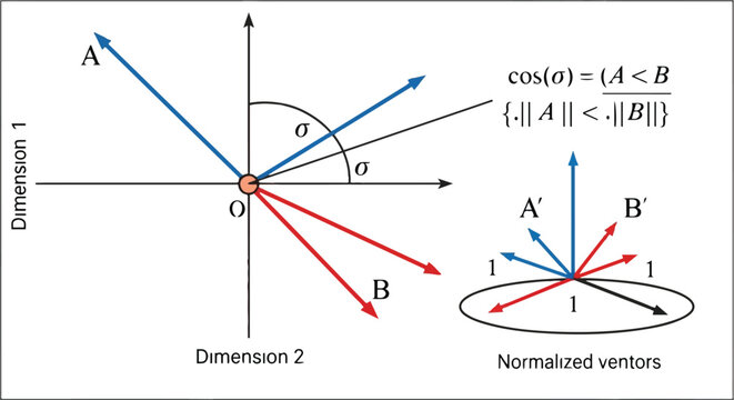 Vector representation in 2d and 3d space with normalization