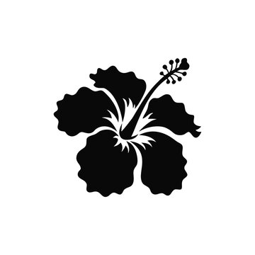 Black hibiscus flower, tropical floral icon, silhouette illustration, vector graphic