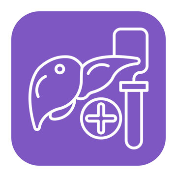 Liver Function Icon