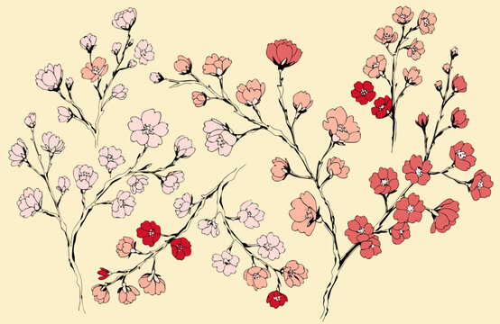 Abstract pink cherry blossom branch vector illustration of a floral background with nature elements like hearts, leaves, and flowers perfect for a spring design card